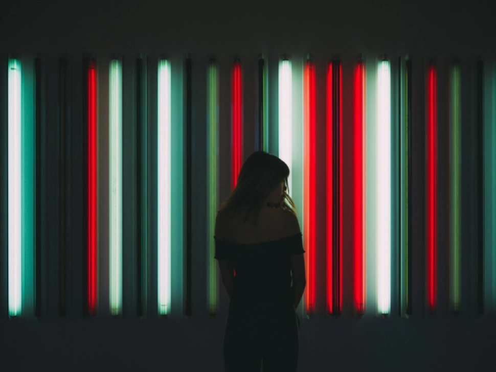 Behind the Scenes: Creating the Digital Toolkit on Green Education - Newsletter #4